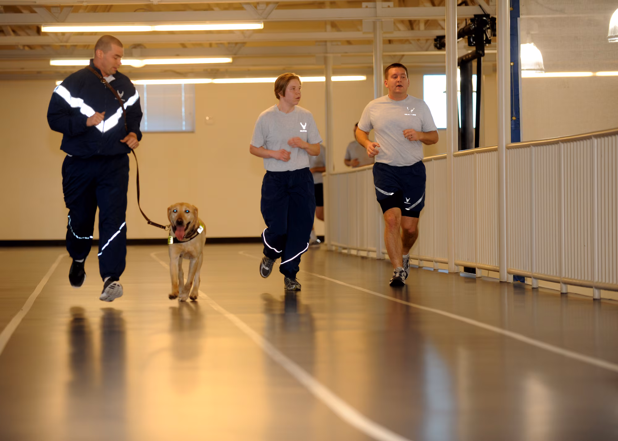 Security Dog Services West Bromwich for Professional Canine Security Solutions by ISA Support Services