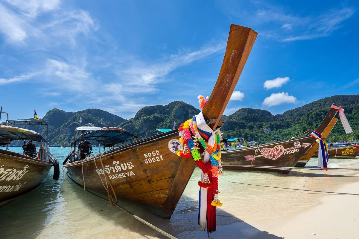 Sustainable dive journeys through cruelty-free scuba travel experiences