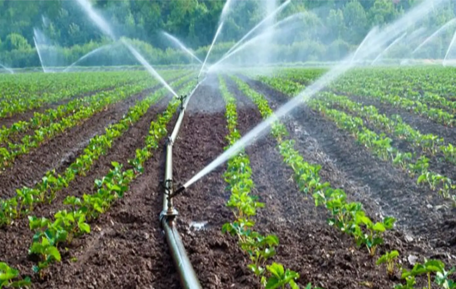 Reliable Professional Irrigation Services in Lakeside, TX for Every Property