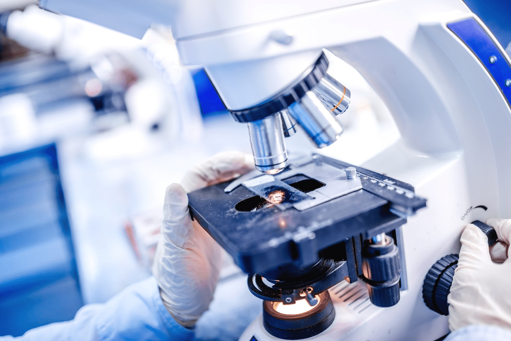 Understanding Global Peptide price Variations