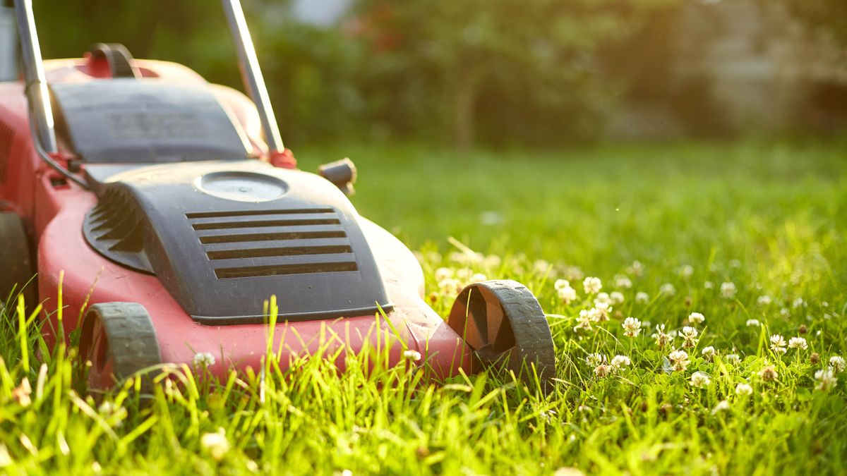Melbourne Lawn Mowing Experts for a Perfect Lawn Today