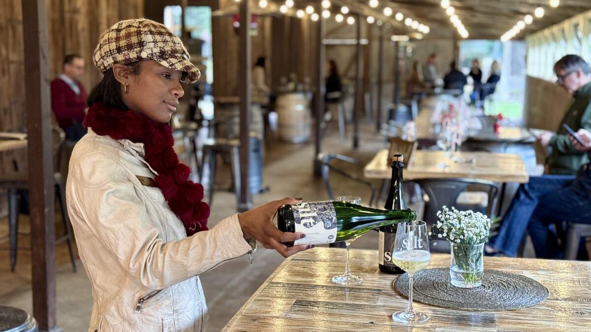 Clarksburg Wine Tasting2 Experience at Silt Wine Company