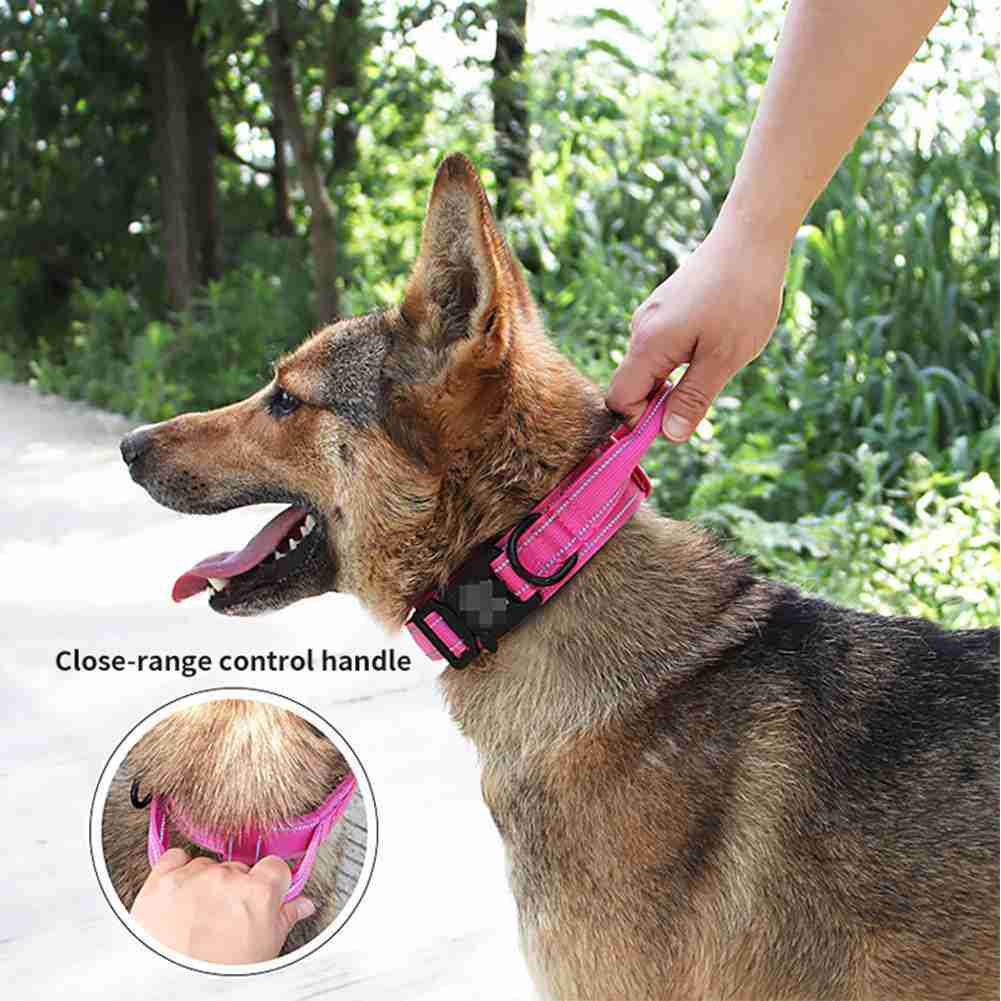 Bulk Dog Harness Supplier with Fast Shipping